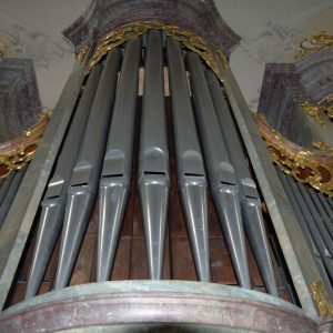 Orgel der Kirche St. Peter und Paul Reichenau-Niederzell